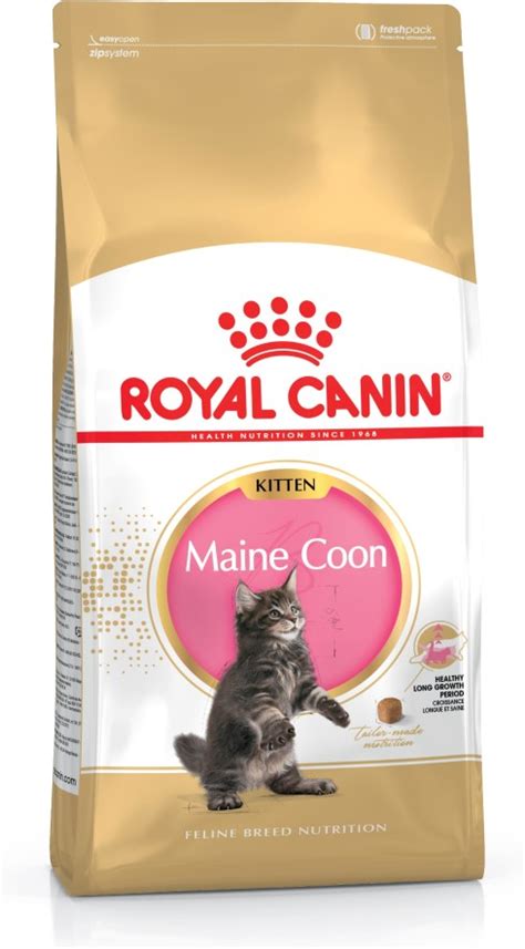 royal canin maine coon kitten